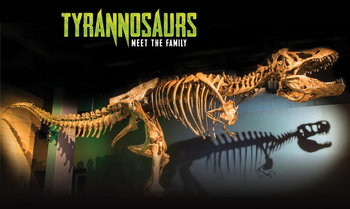 Tyrannosaurs - Meet the Family