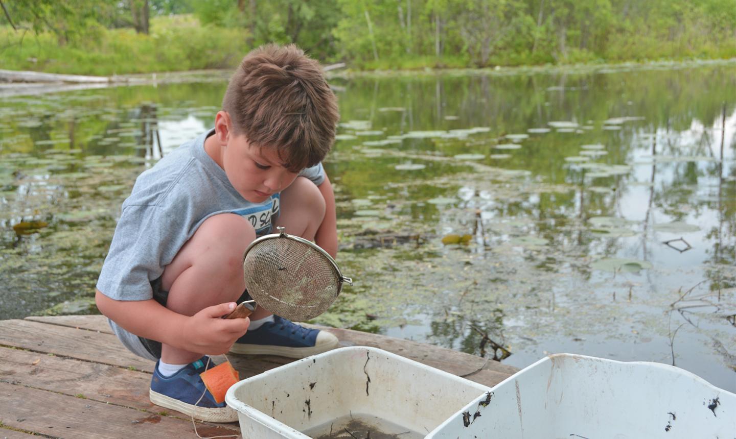 BioBlitz