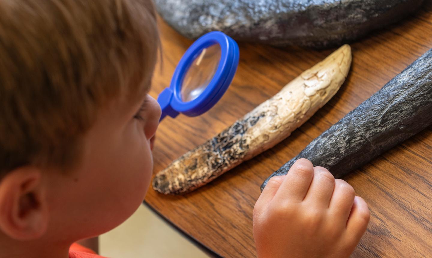 Child in the early learning classroom looking through magnifying glass