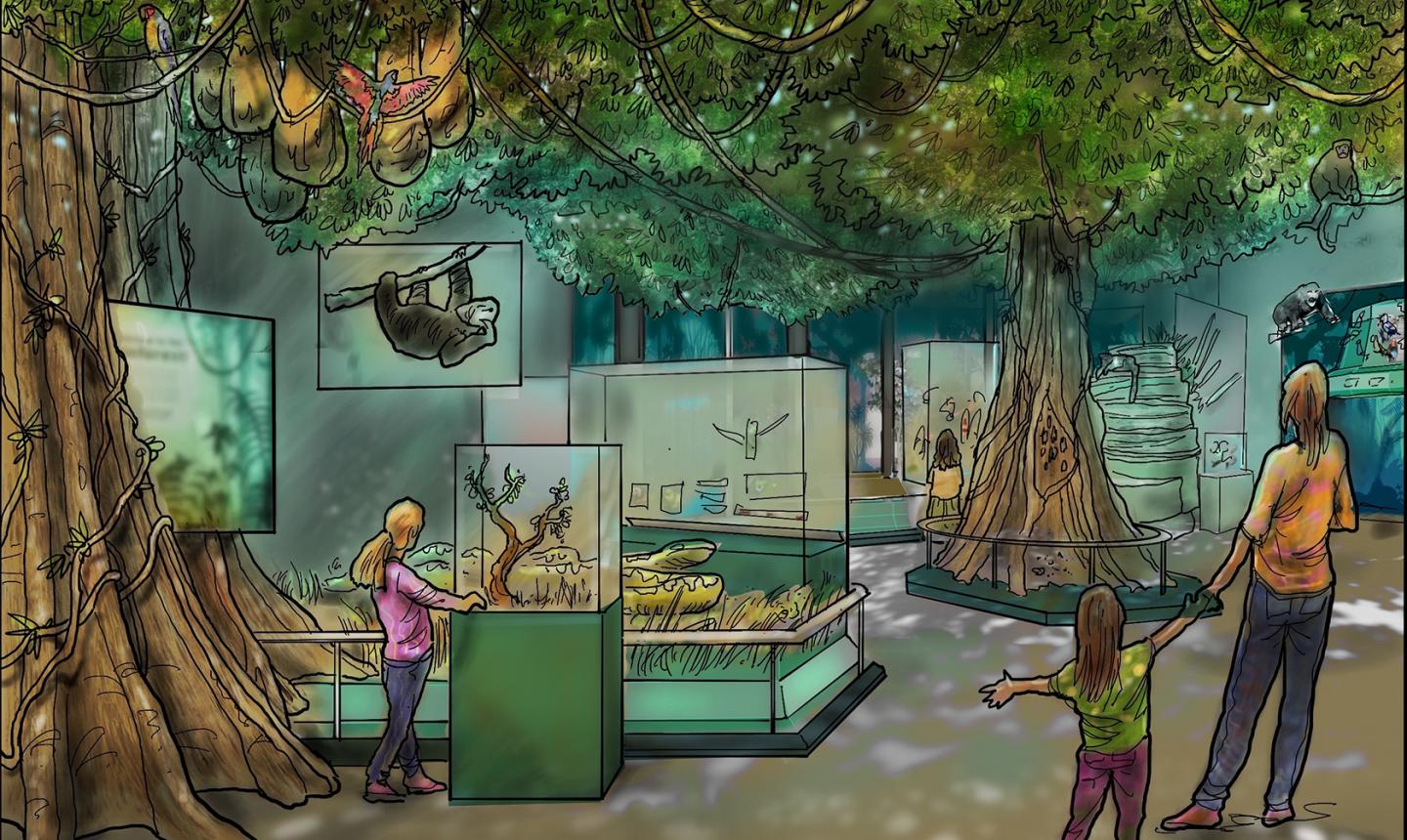 Rainforest at the Future Museum