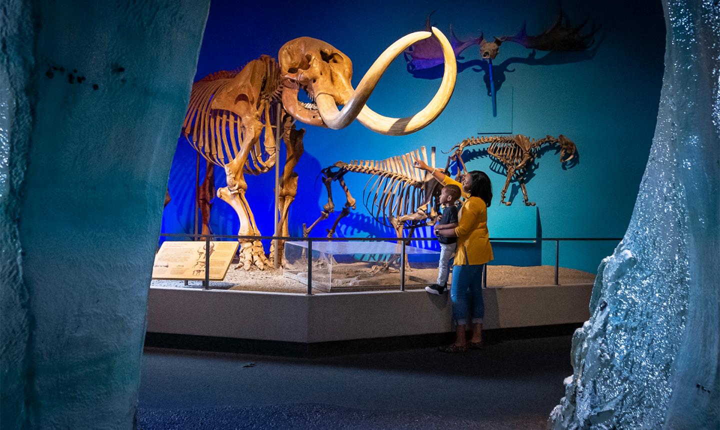 Mother and Son looking at mastodon at MPM Ice Age exhibit