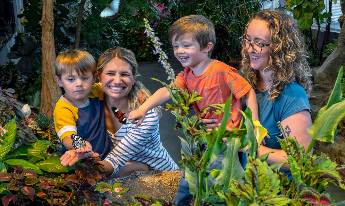 Two mothers with their children looking at butterflies